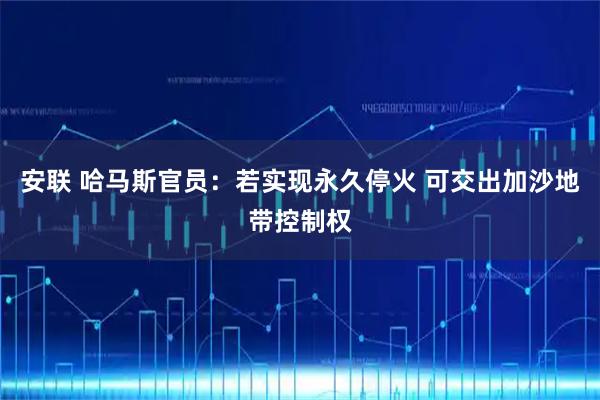 安联 哈马斯官员：若实现永久停火 可交出加沙地带控制权