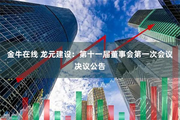 金牛在线 龙元建设：第十一届董事会第一次会议决议公告